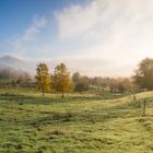 Nebelstimmung im Trifelsland