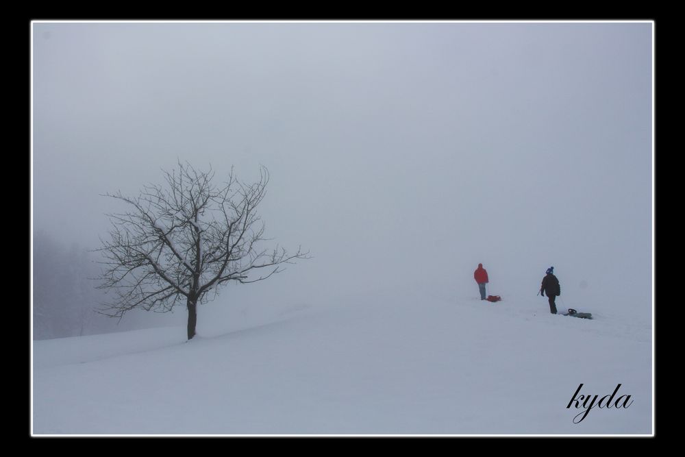 Nebelstimmung im Winter