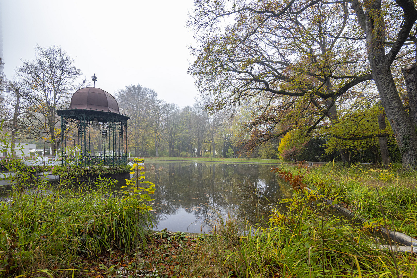 Nebelstimmung im Wittelsbacher Park