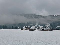 Nebelstimmung in den Öschwiesen