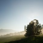 Nebelstimmung in der Frühe