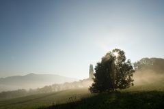 Nebelstimmung in der Frühe