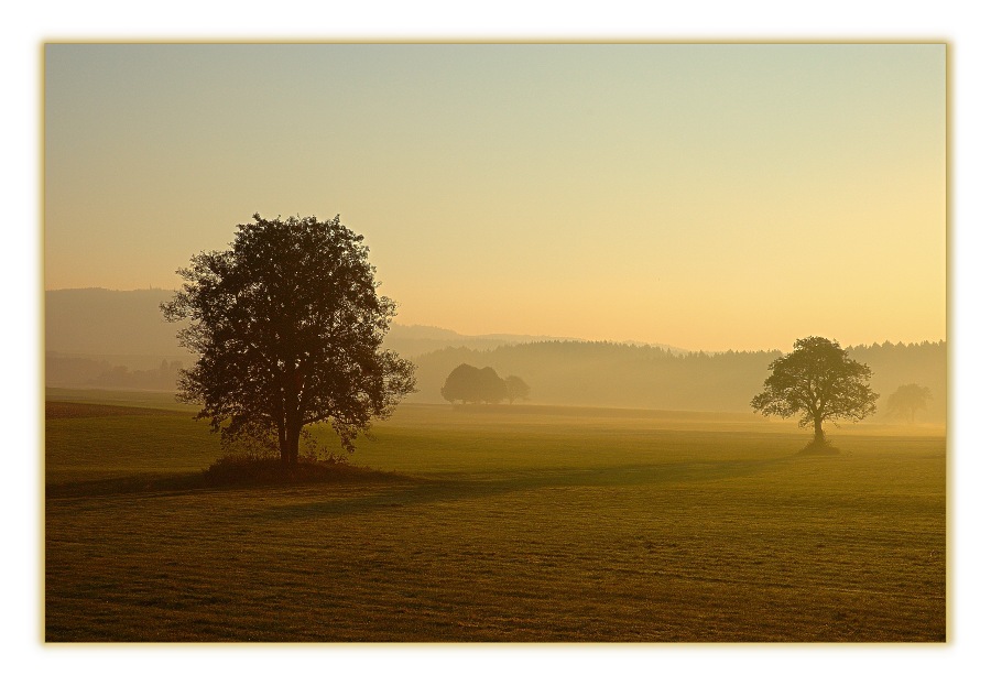 Nebelstimmung in der Oberpfalz