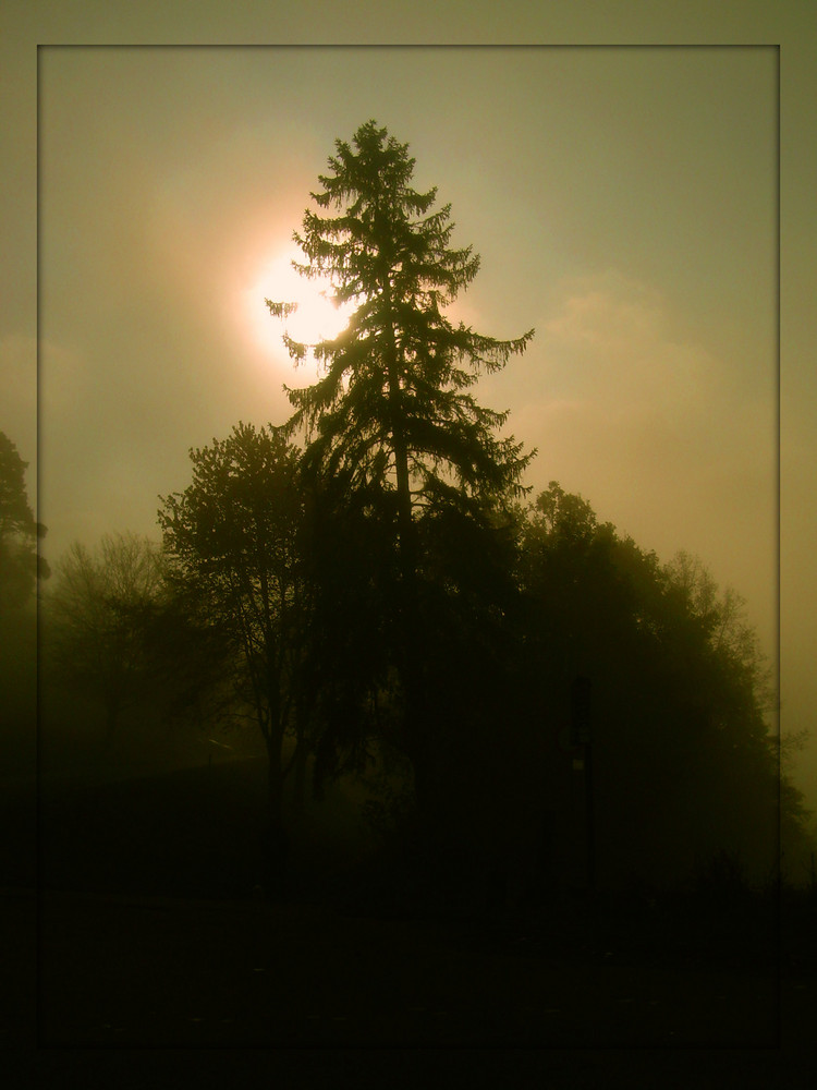 Nebelstimmung in Eisenach , die dritte