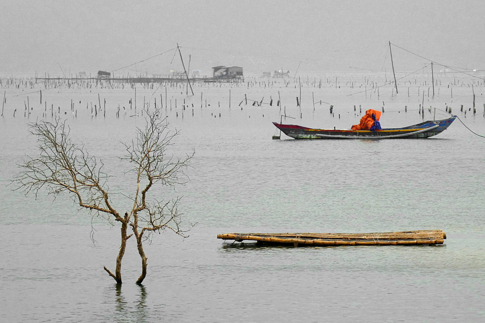 Nebelstimmung in Vietnam