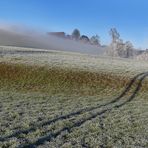 Nebelstimmung mit Licht und Schatten