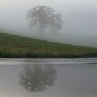 Nebelstimmung mit Pfütze