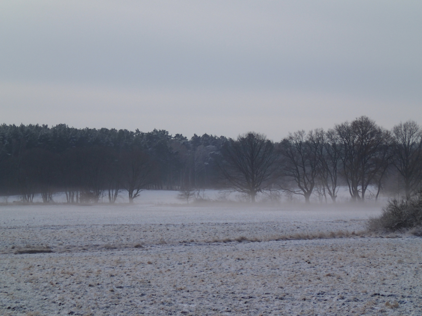 Nebelstimmung mit Schnee