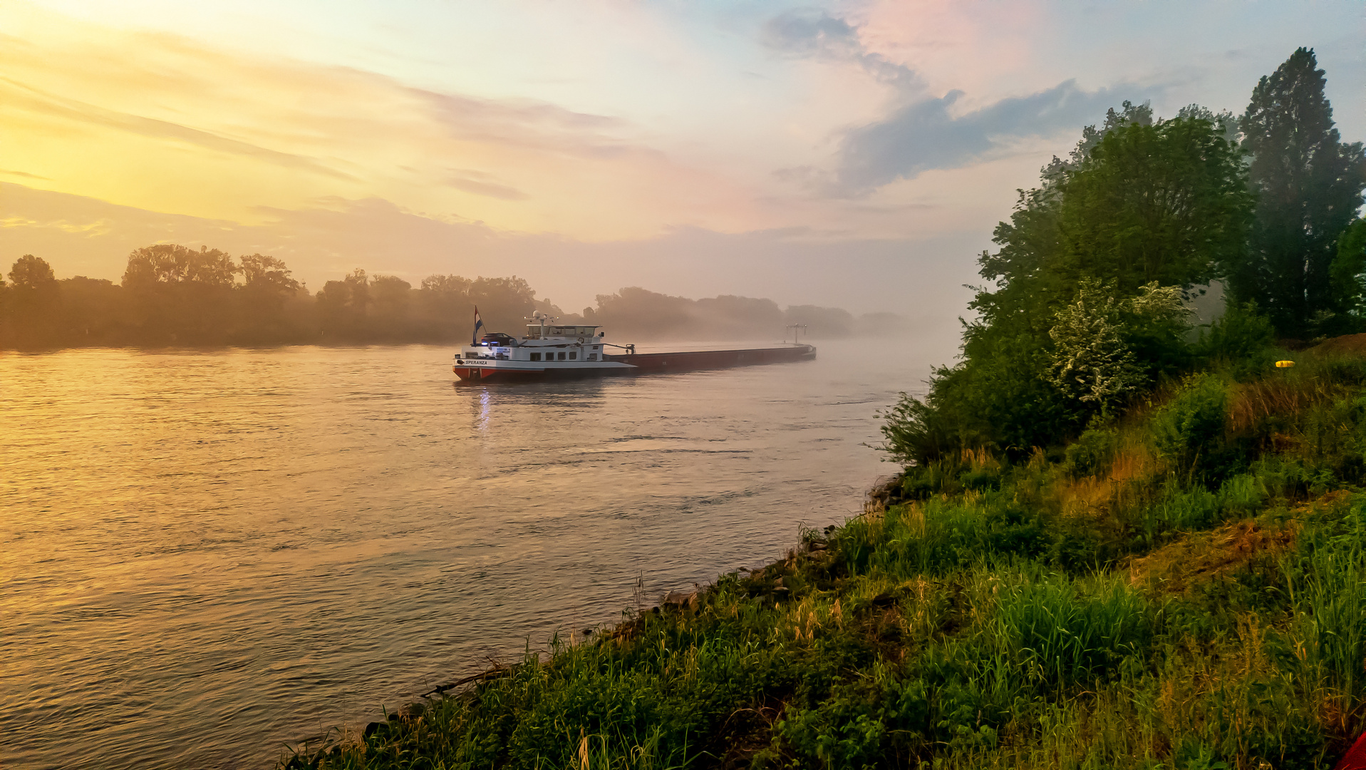 Nebelstimmung morgens am Rhein