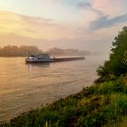 Nebelstimmung morgens am Rhein