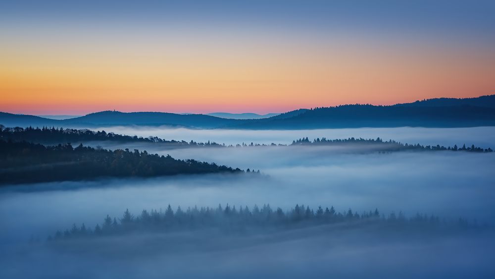 ~~Nebelstimmung über dem Pfälzer Wald~~ Foto &amp; Bild | deutschland ...