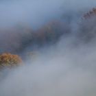 Nebelstimmung über der Froburg-Region