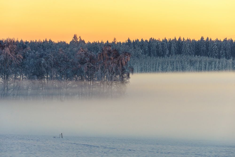 Nebelstimmung und Abendrot