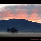 Nebelstimmung vor Sonnenaufgang