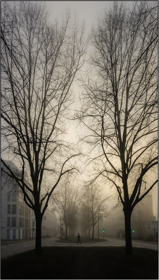 Nebelstimmung zum Sonnenaufgang in HH