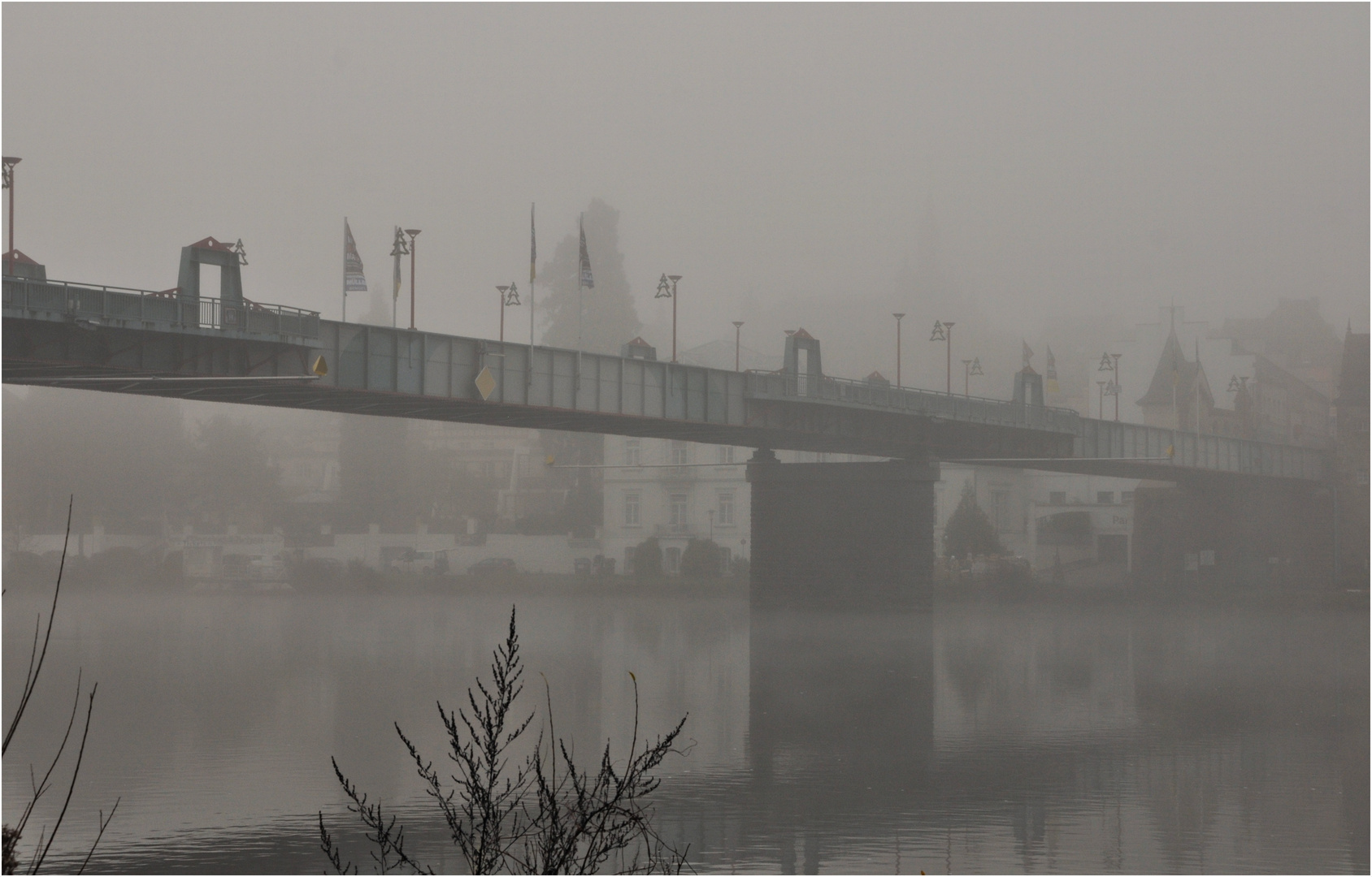 Nebelstimmung...am Traben-Trabcher Moselufer