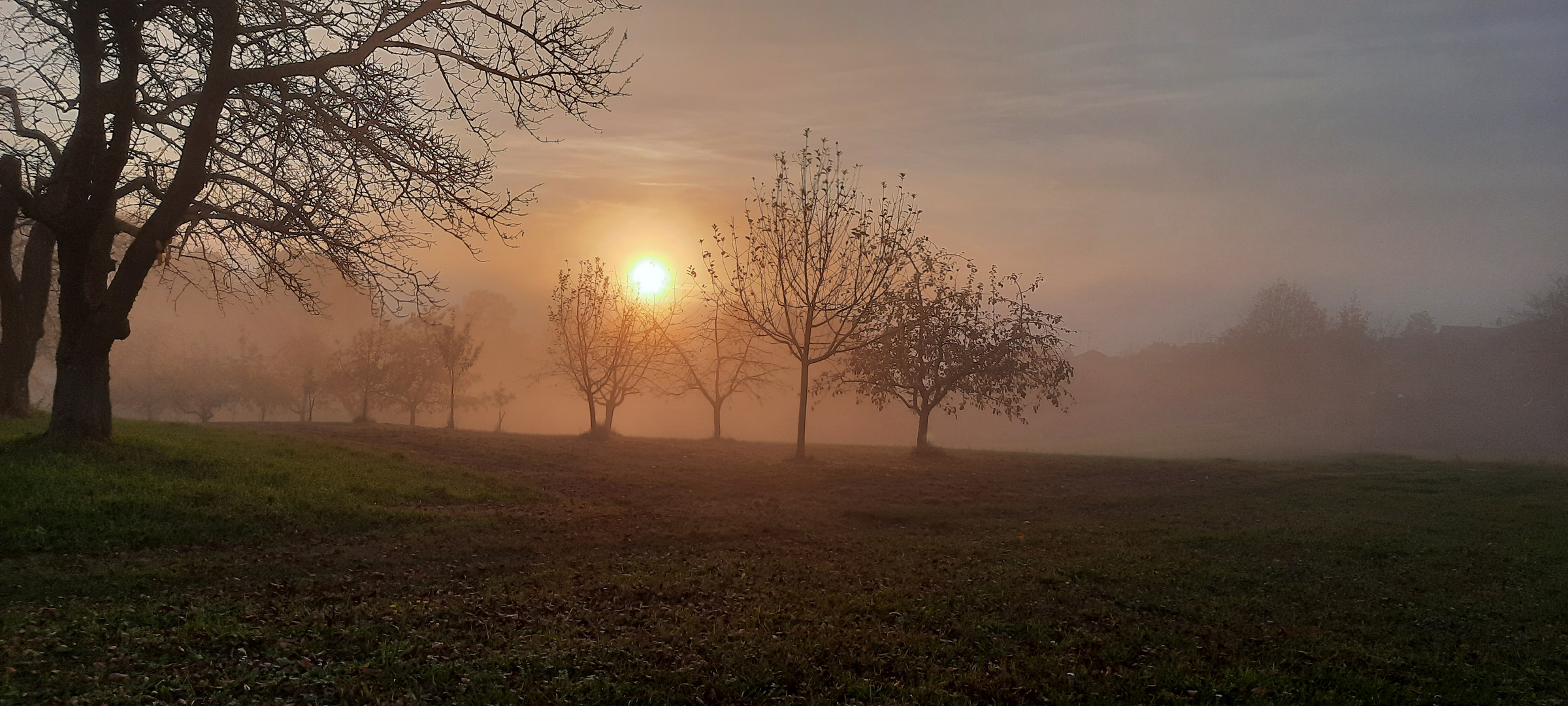 Nebelstimmungen 