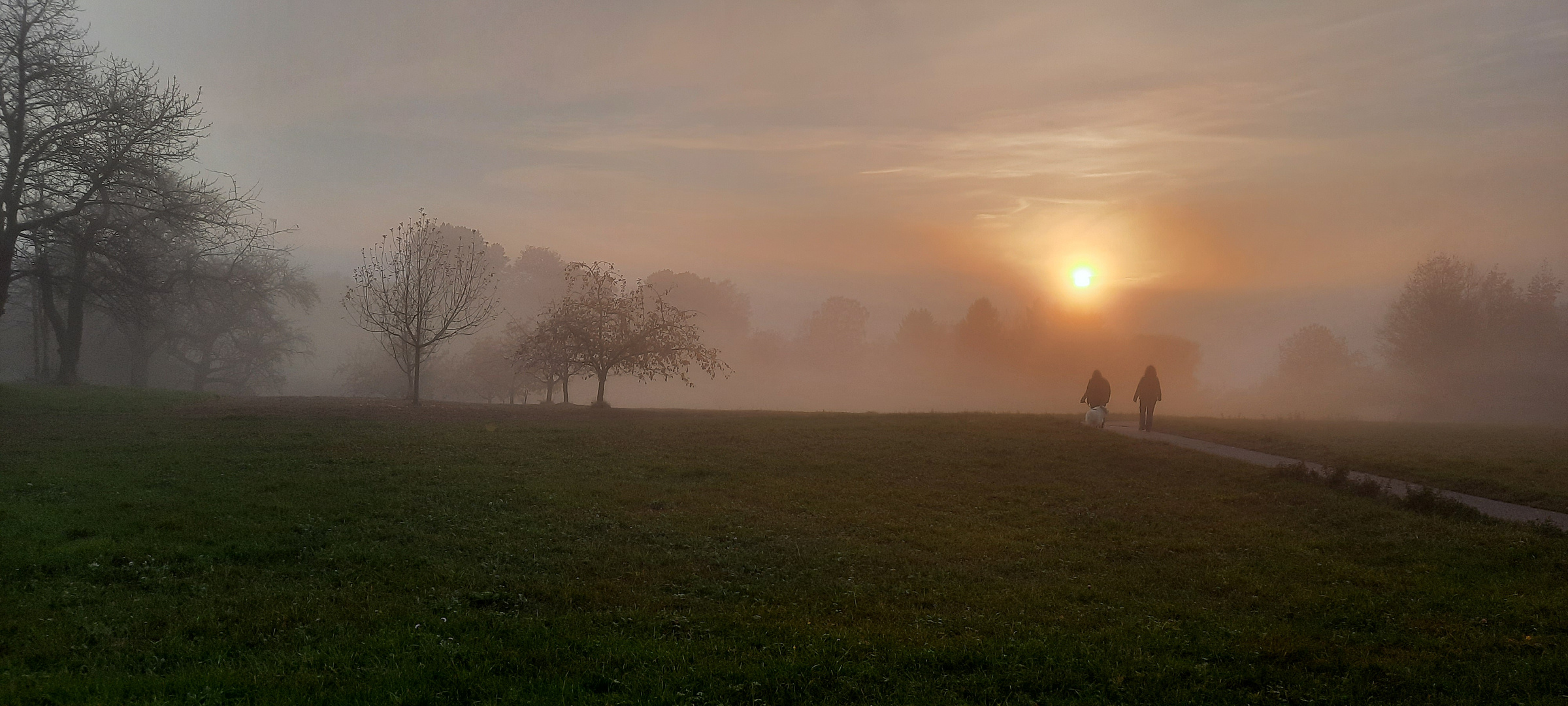 Nebelstimmungen 