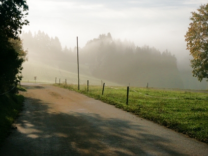 Nebelstraße