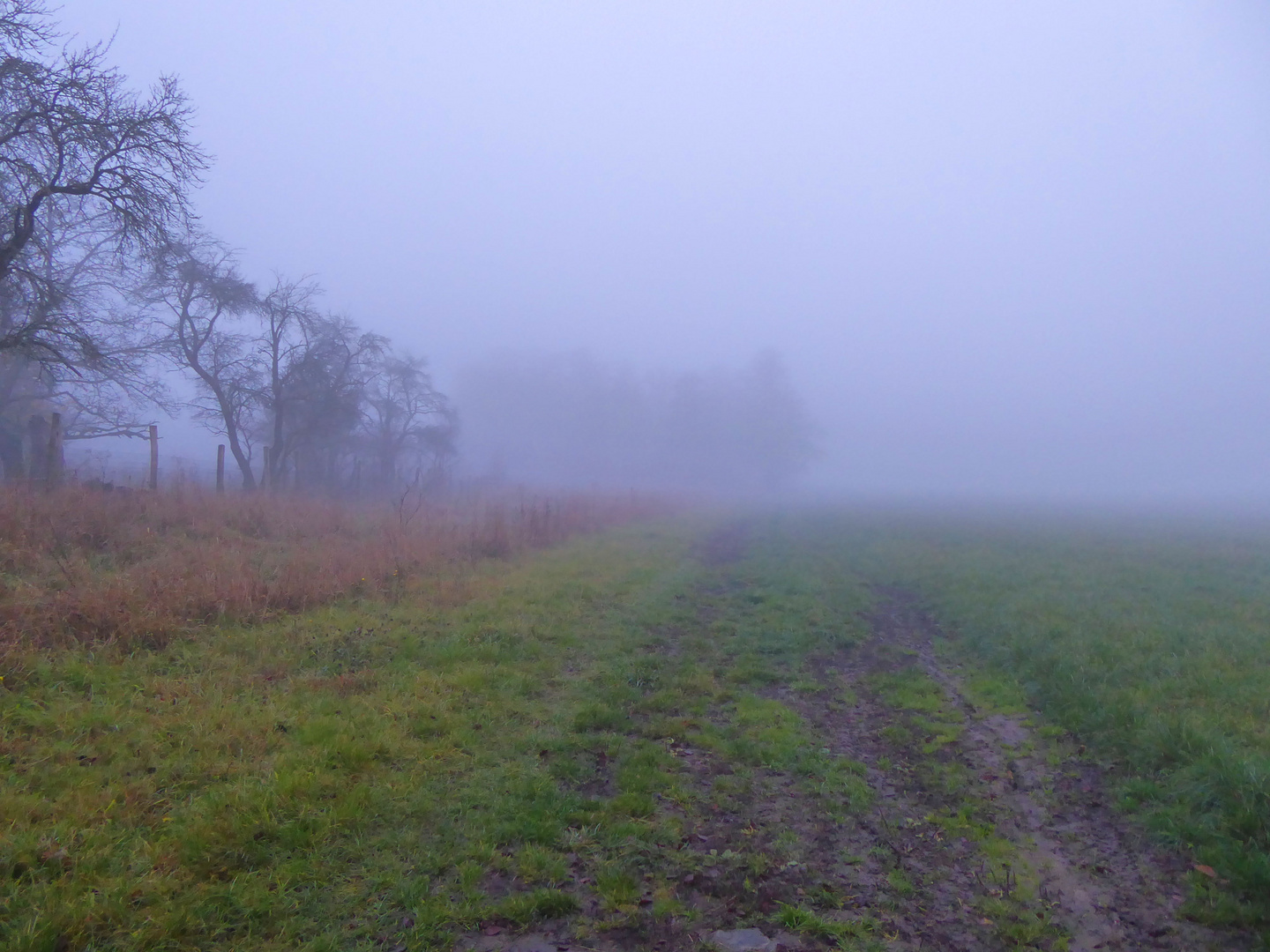 Nebelsuppe am Morgen