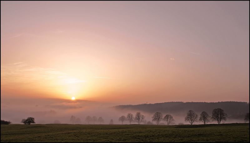 Nebeltäler im Westerwald