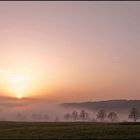 Nebeltäler im Westerwald