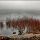 Nebeltag am Möhnesee / 21.02.2023 #2 ...