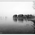 Nebeltag am See...am schwarzweißen Freitag