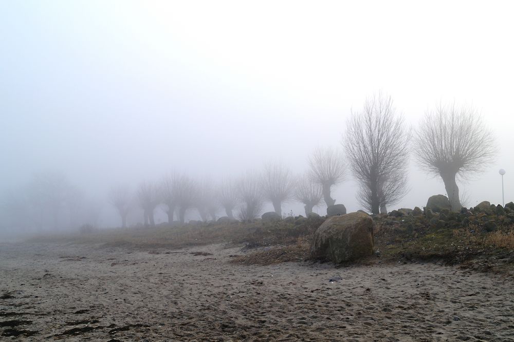 Nebeltag am Strand von Boltenhagen