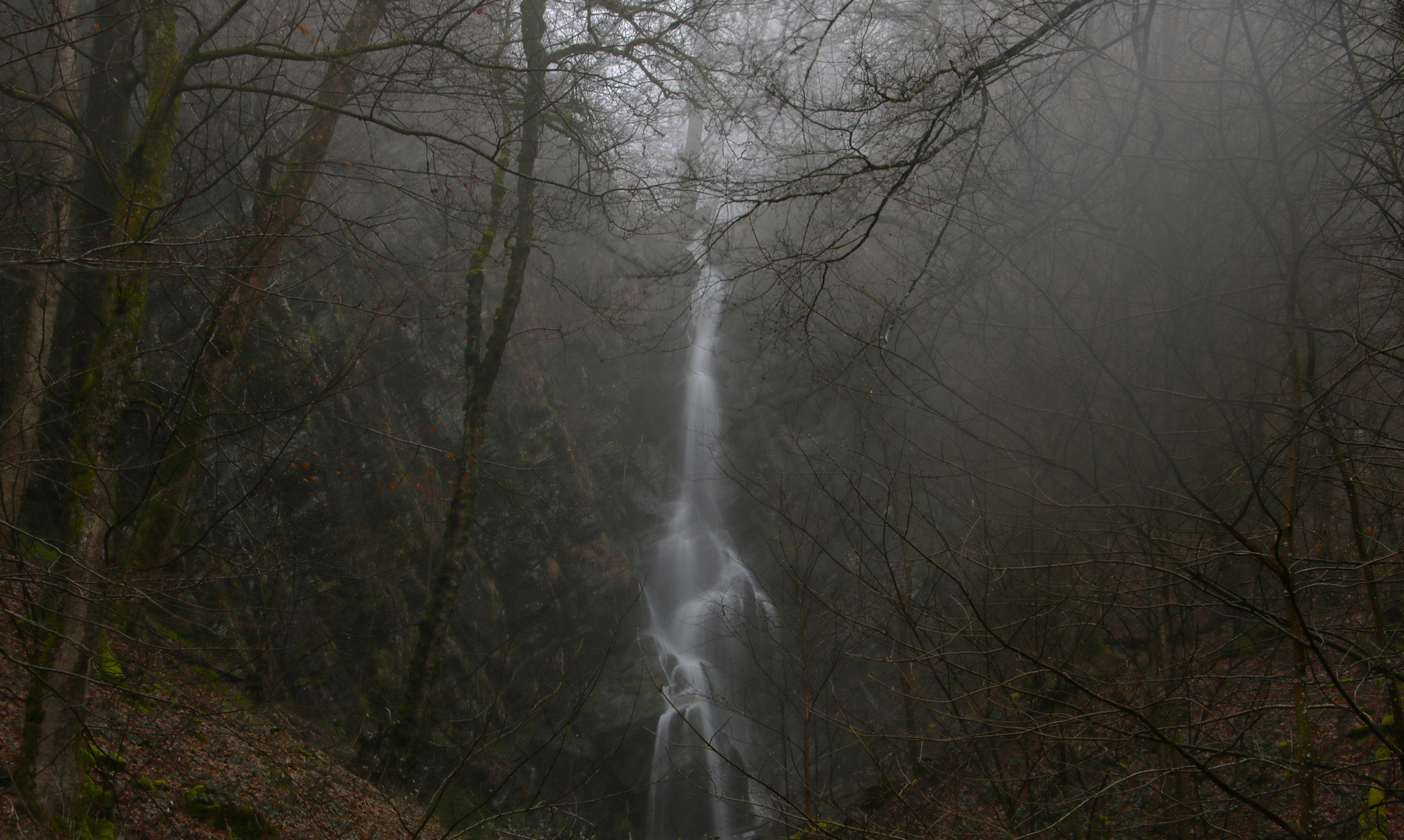 Nebeltag am Wasserfall