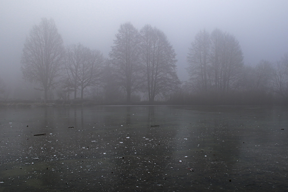 Nebeltag am Weiher