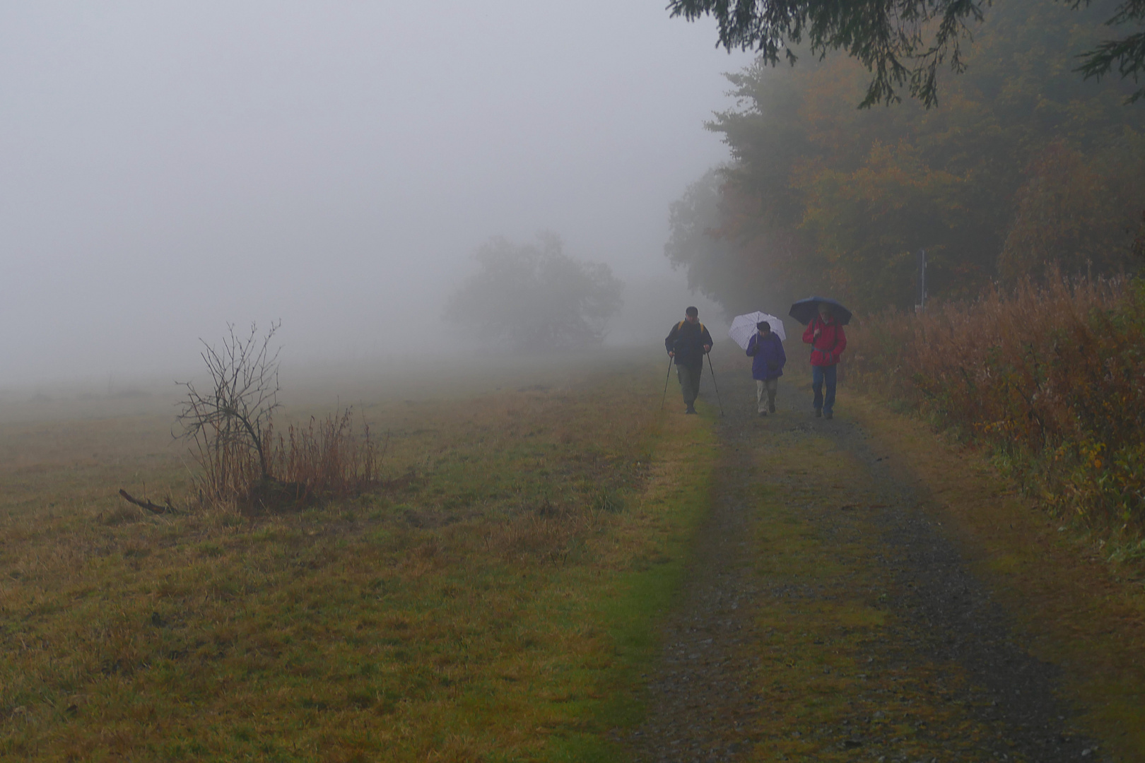 Nebeltag auf dem Hochrhöner