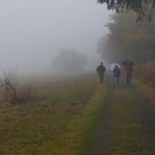 Nebeltag auf dem Hochrhöner