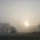 Nebeltag im Ruhrpott 1