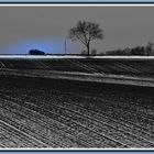 Nebeltag im Weinviertel - Österreich