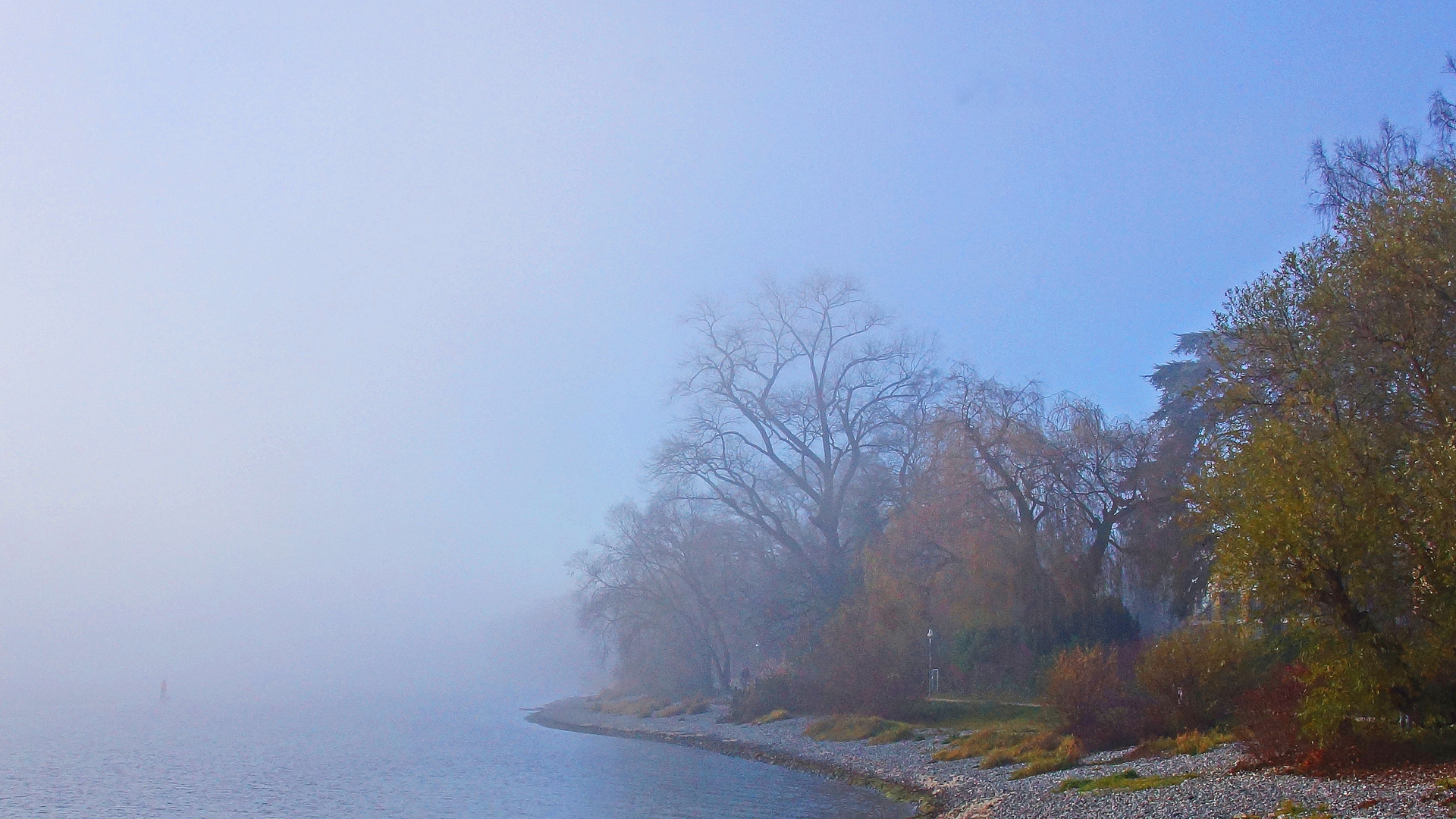 Nebeltage am See