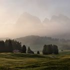 Nebeltage auf der Alm