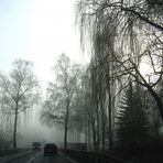 Nebeltage im November - Fog day in November