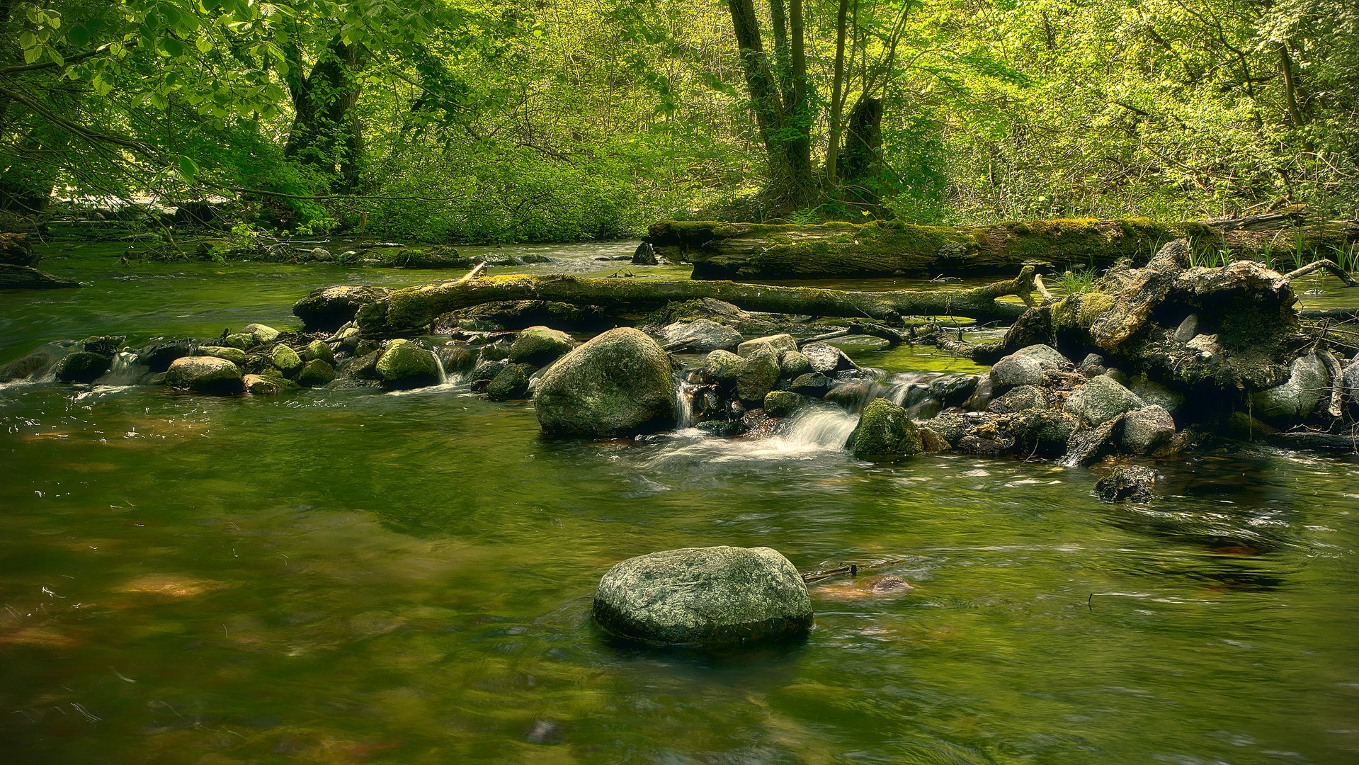 Nebeltal im Sommer