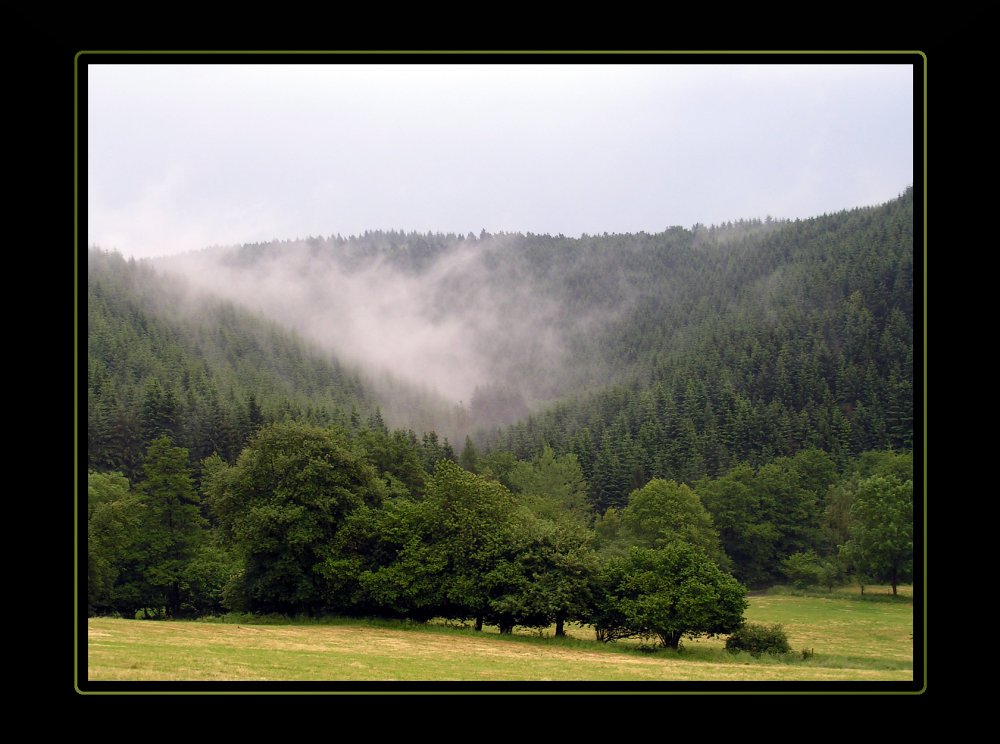 Nebeltal im Westerwald