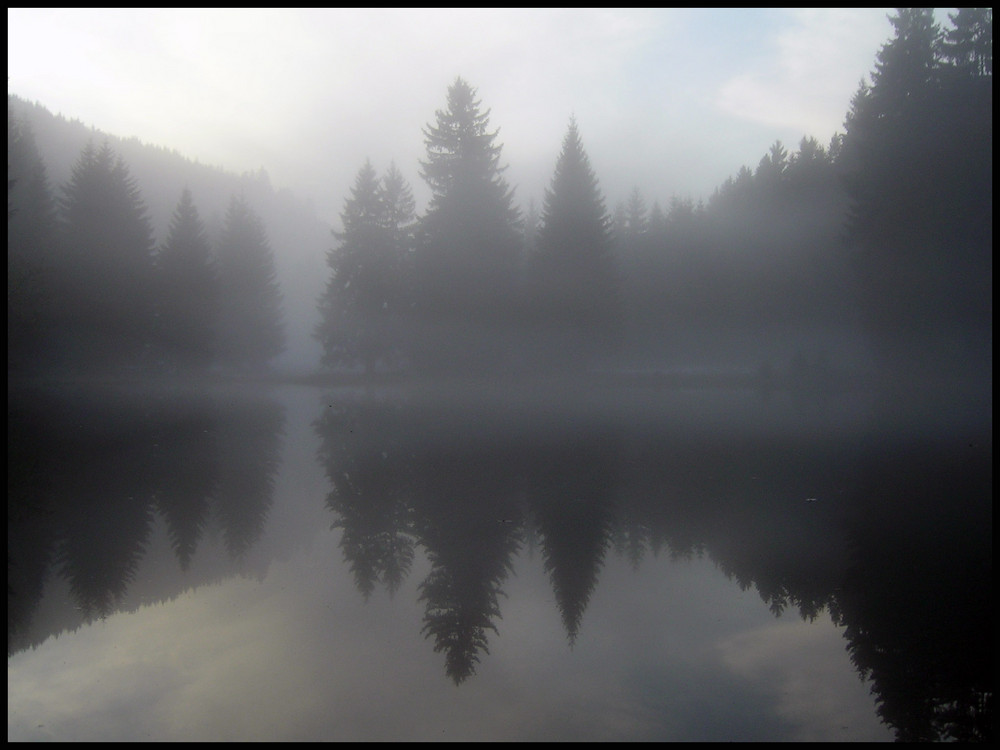 Nebelteich