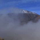 Nebelteide