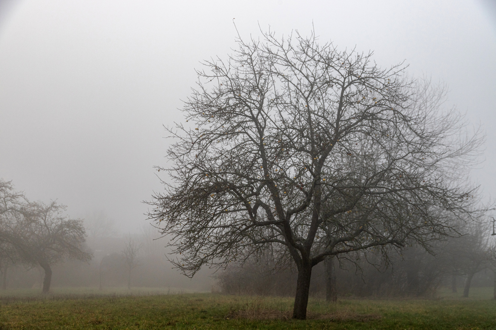 Nebeltristesse