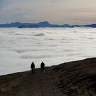 Nebelufer in den Bergen 