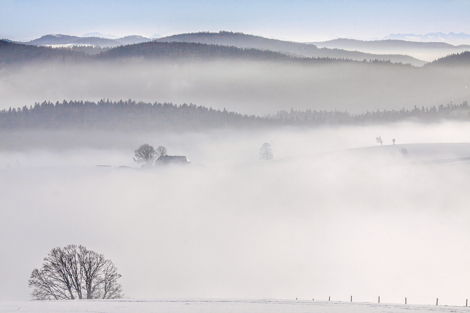 Nebelverhangen