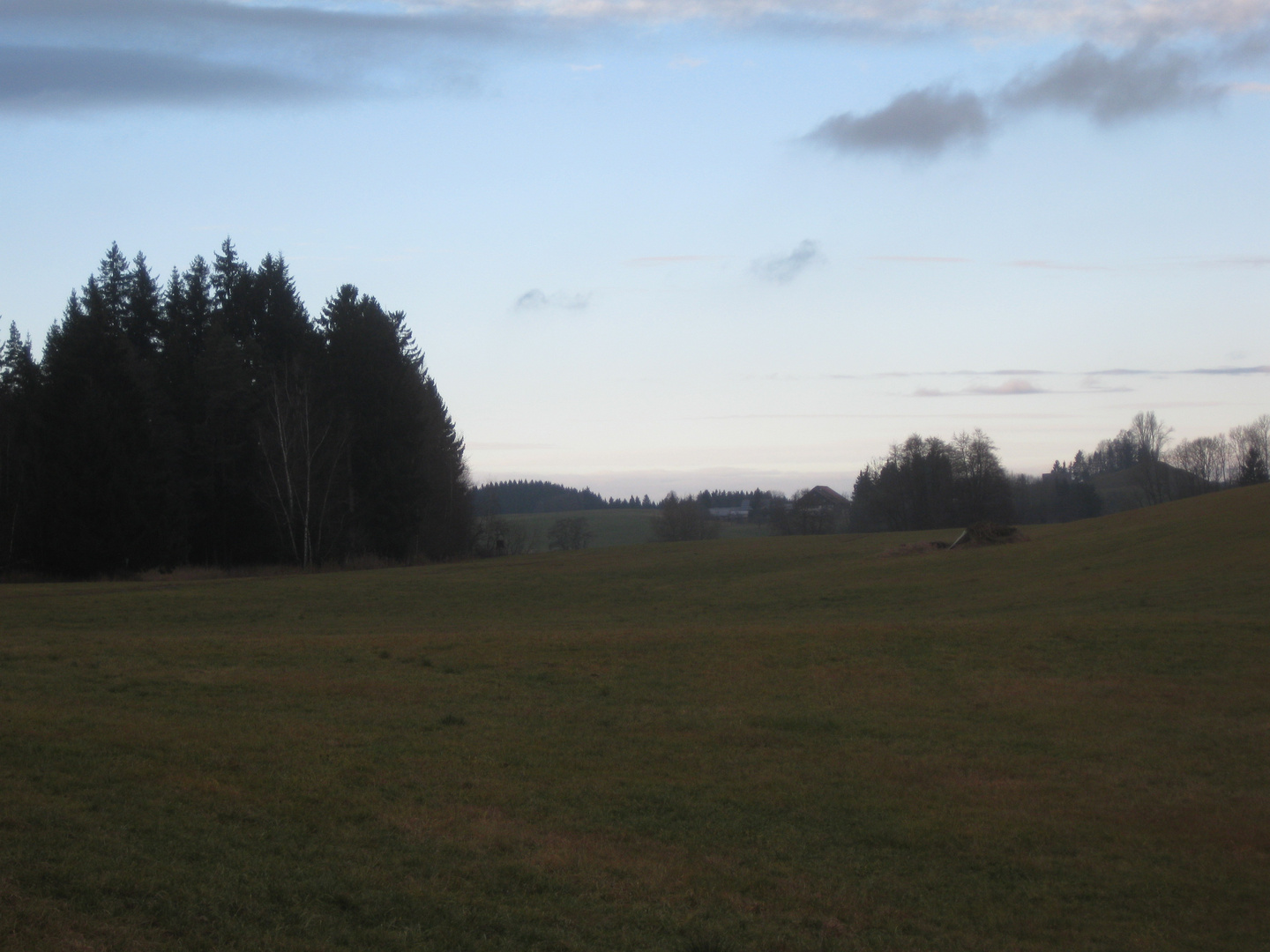 Nebelverhangenes Allgäu