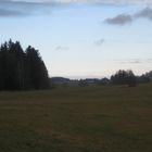 Nebelverhangenes Allgäu