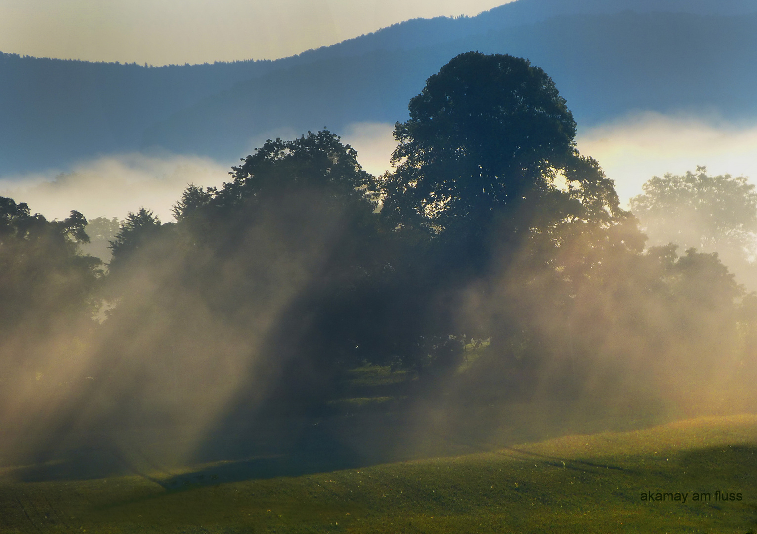 Nebelvorhang im Morgenlicht