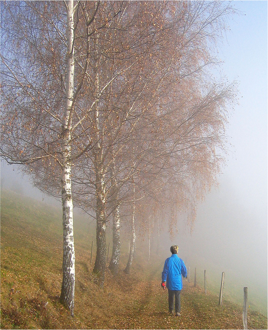 Nebelwaderung