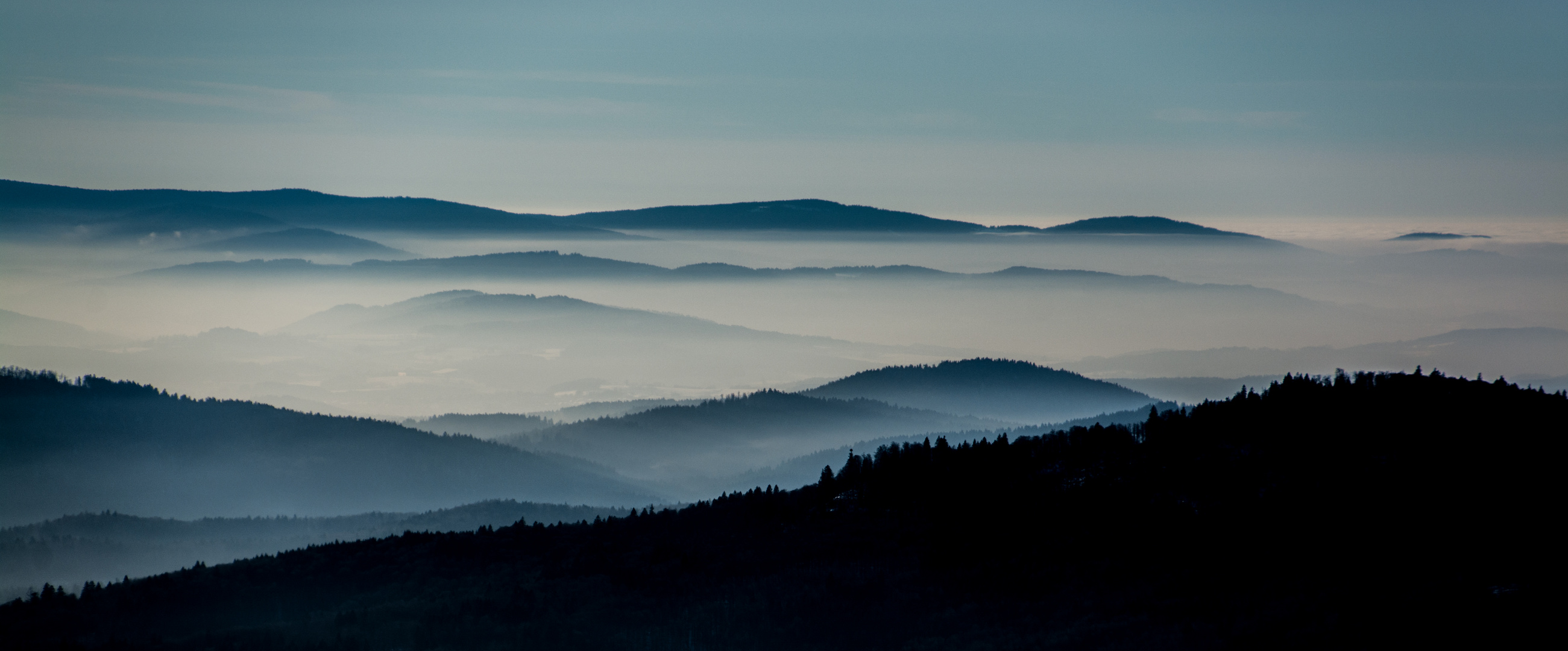 Nebelwälder